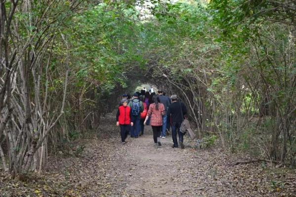 &OpenCurlyDoubleQuote;愛情隧道&rdquo;中山植物園