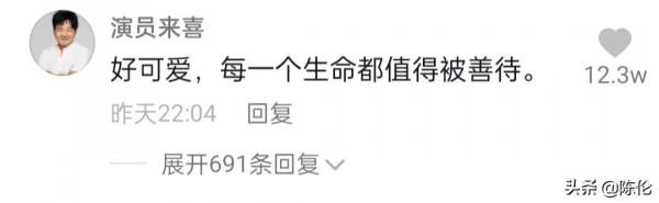 當流浪狗把孩子帶給你看，那是得多信任你呀