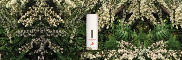 寶潔陳嘉俊：透過Snowberry重新定義中國的Clean Beauty