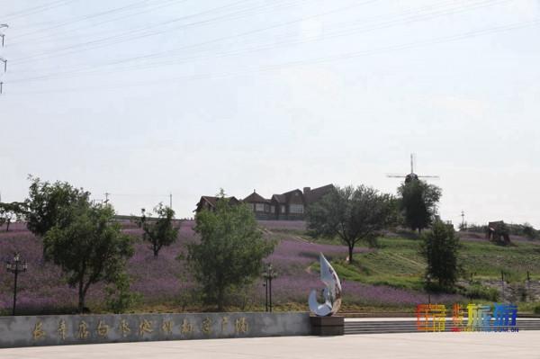 脆！甜！採摘蘋果，這幾種京城名品不能錯過