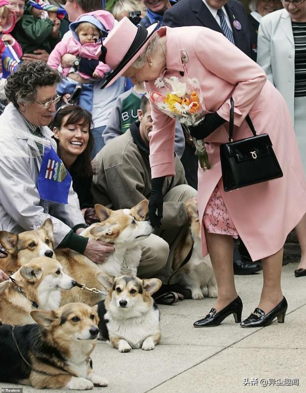 難得一見的英國女王伊麗莎白二世的72張老照片 難得一見的英國女王伊麗莎白二世的72張老照片