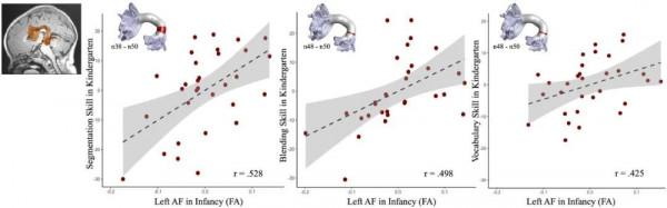溝通能力是否與生俱來?寶寶出生第一年至關重要 溝通能力是否與生俱來?寶寶出生第一年至關重要