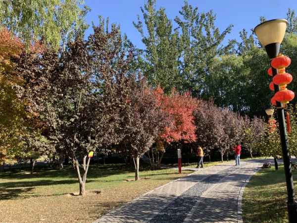 朝陽遊園推薦：大望京公園