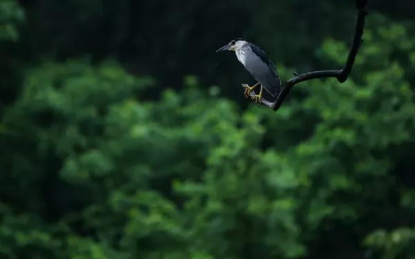 修好一片心，守好這五個字