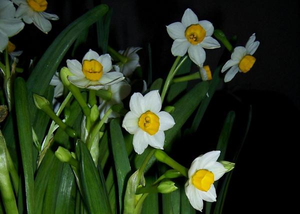 行攝京華大地——最美北京，在冬天