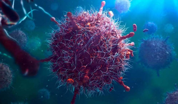 4900萬年前,紅萍曾“冰封地球”,如今能再次現身拯救人類嗎? 4900萬年前,紅萍曾“冰封地球”,如今能再次現身拯救人類嗎?