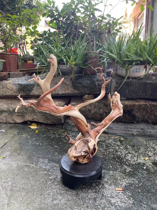 爛樹根？不對，這枝丫盤亙如降龍的崖柏木雕，分明是藝術品啊