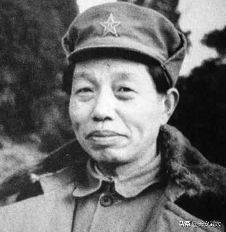 譚震林、譚希林、譚友林：三位譚姓名將，都是什麼軍銜