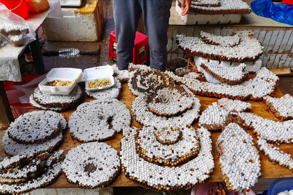 北方人去雲南逛菜市場，一個菜都不認識，本地人：我自己也認不全