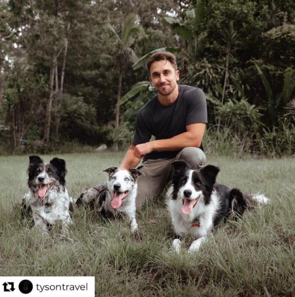 從被遺棄到當英雄，澳洲這隻狗狗，在大火中救下100多隻考拉