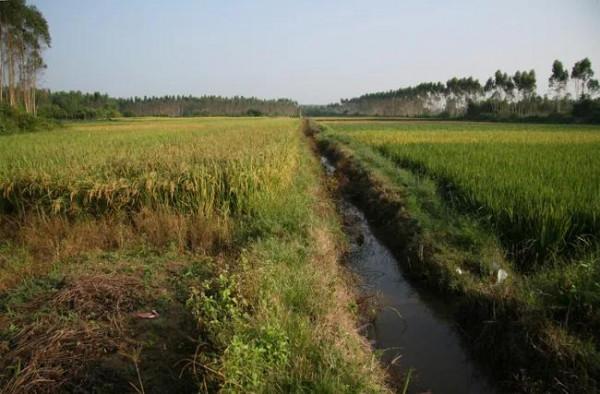 抗美援朝老兵,撐到97歲才去世,都說養兒為防老,可他老了還養兒 抗美援朝老兵,撐到97歲才去世,都說養兒為防老,可他老了還養兒