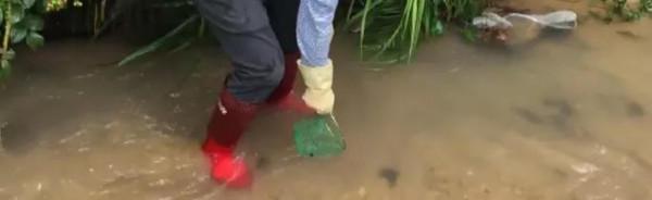 小溪裡捉蝦，放這種料餌，蝦一會就上來了