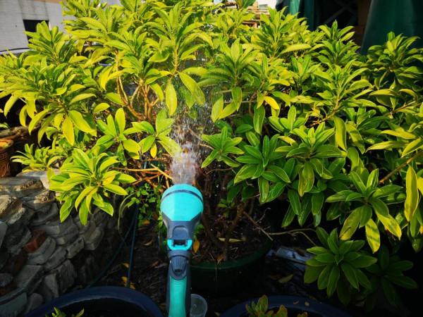 用愛滋養，展現其風采