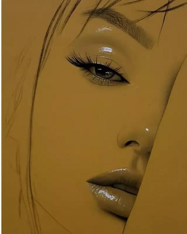 素描功底+高光的運用