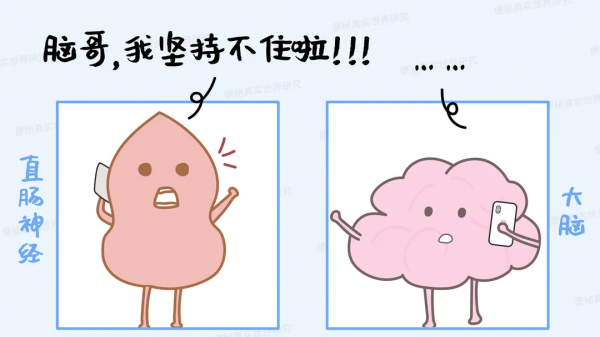 總便秘的人，身體到底是哪個部位出現了問題？