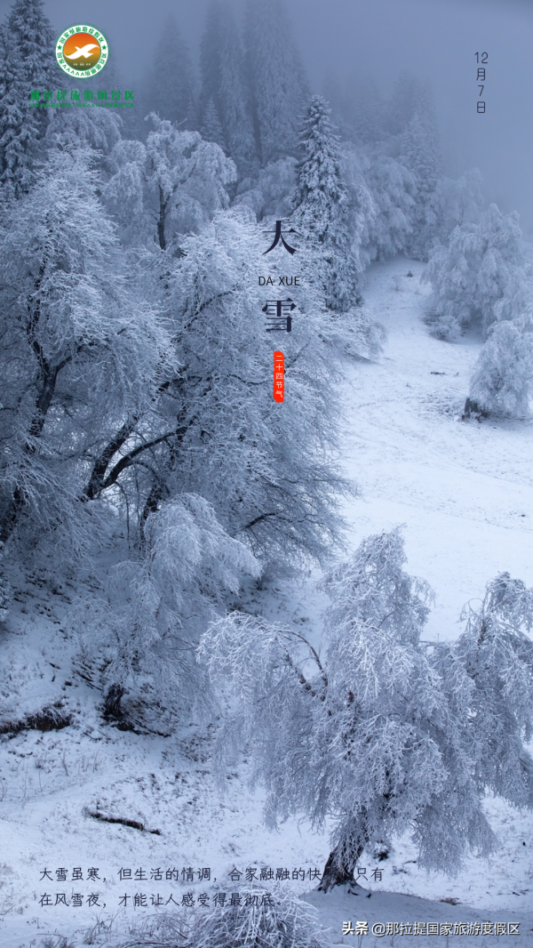大雪｜那拉提的雪景讓你心動了嗎？