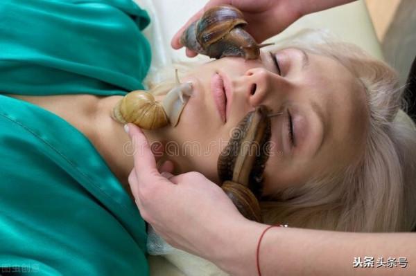 各種蝸牛護膚品是怎麼來的? 各種蝸牛護膚品是怎麼來的?