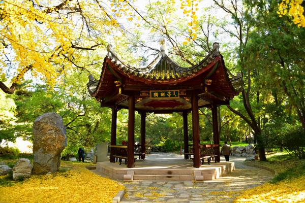 北京市區一網紅公園，山水畫廊風景絕美，門票2元公交可達
