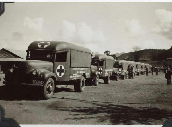 東線的德國護士：在蘇聯俘虜中等待他們的是什麼