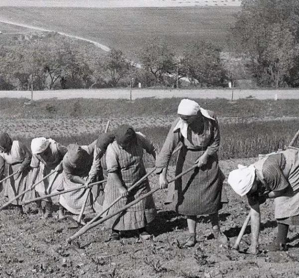 斯托雷平改革，俄羅斯帝國最後的迴光返照