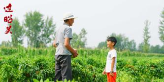 一生只演一部戲的7位演員，隨後銷聲匿跡，78歲的楊太義獲雙影帝