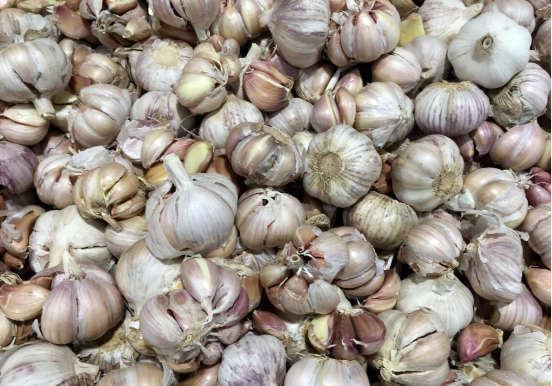 種植大蒜如何施肥?掌握以下技巧,蒜瓣大、產量高 種植大蒜如何施肥?掌握以下技巧,蒜瓣大、產量高