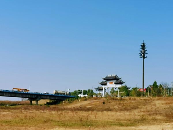 餌料未把魚兒引來卻招來不速之客，趕都趕不走……