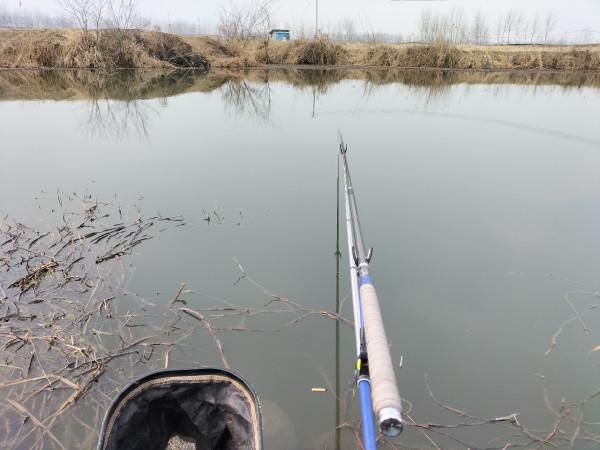 一起來尋&OpenCurlyDoubleQuote;巨物&rdquo;絕對是漁獲中的亮點