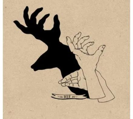 家裡停電了，你還會玩手影遊戲，數星星，找螢火蟲嗎？