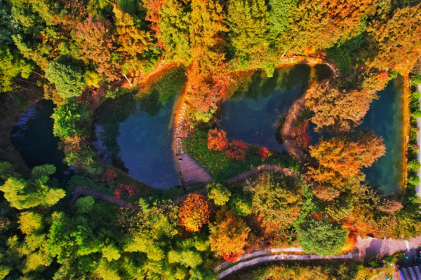 冬日，重慶美景圖鑑