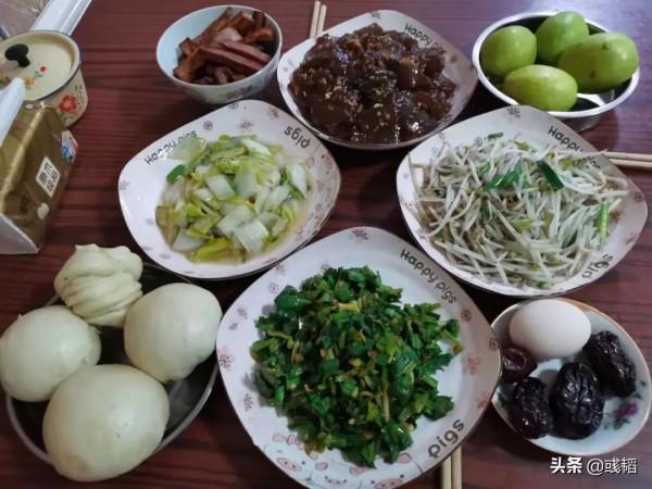 用生活來治癒生活？這是誰出的好主意