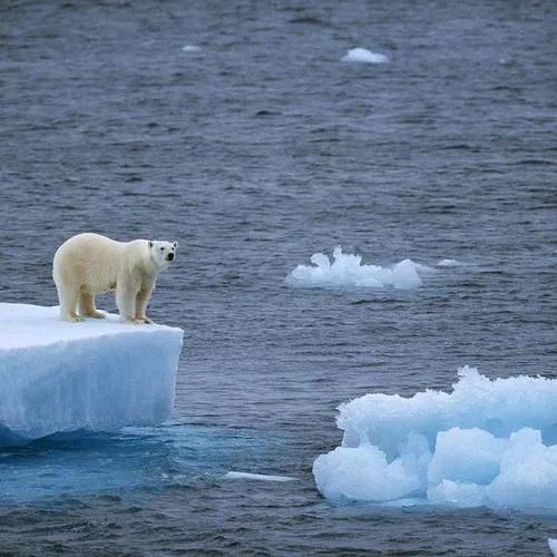 北極凍土融化，古老病菌復活多可怕？科學家：還有比這更可怕的