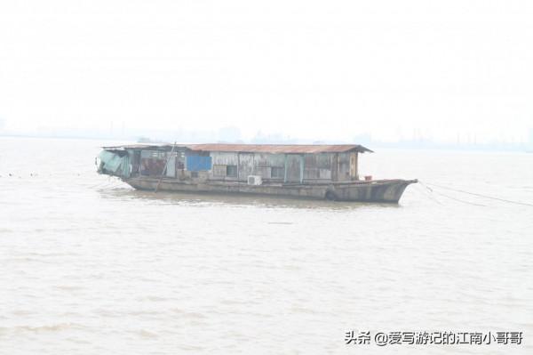 沿著岸邊的步道，貼近廣闊的自然水域，開始在海鷗島上的環島騎行