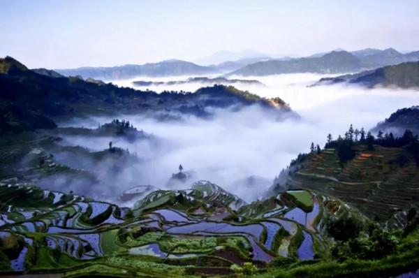 分享—十萬大山風光