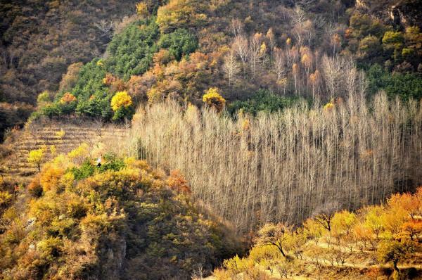看一看！京西最美的16條登山步道，在京人士的週末有著落了