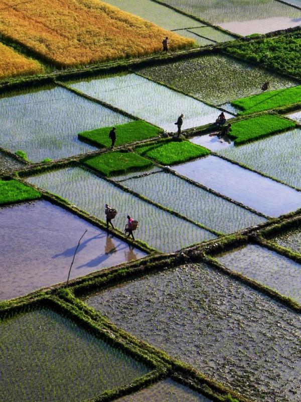 “很不甘肅”的隴南，為什麼能一市吃三省？