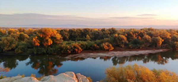烏倫古湖邊撿到心儀的戈壁玉