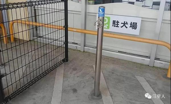 國外商場專門設立了“停狗場”,再也不用擔心帶狗狗不能逛商場了 國外商場專門設立了“停狗場”,再也不用擔心帶狗狗不能逛商場了