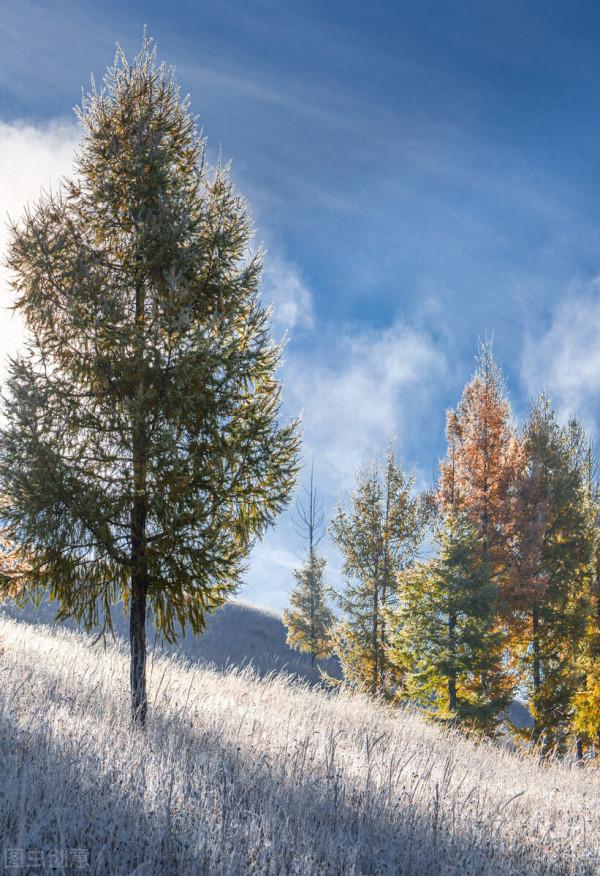 今年最想去的24條線路,與國內最極致的風光邂逅,你都去過幾條? 今年最想去的24條線路,與國內最極致的風光邂逅,你都去過幾條?