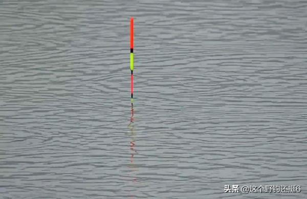 漂總是調不好，調不準，這4個壞習慣最容易被忽視。新手更要重視