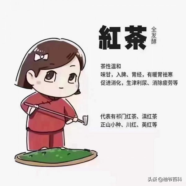 為什麼喝茶會感覺&OpenCurlyDoubleQuote;刮油&rdquo;，特別喝單叢茶容易肚子餓呢