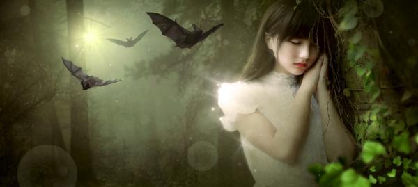 它們是地球上,唯一真正會飛翔的哺乳動物,可是卻不怎麼引人注目 它們是地球上,唯一真正會飛翔的哺乳動物,可是卻不怎麼引人注目