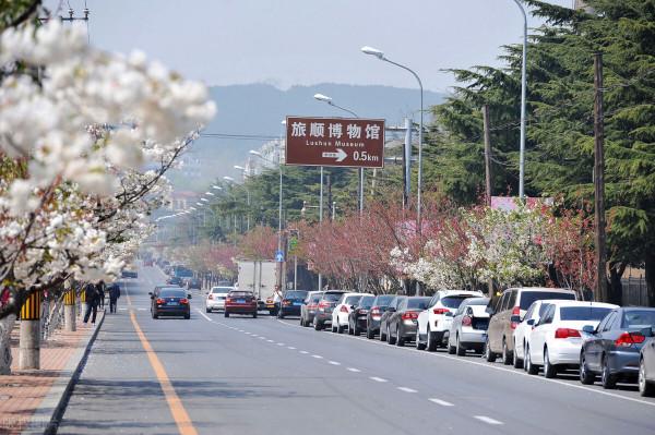 “滿蒙獨立運動”日本人玩得太低階，為何日本人會選擇張作霖？