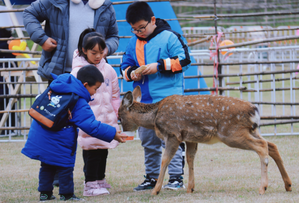 多圖預警｜鹿島公園&amp;趣玩萌寵節今日盛大開放