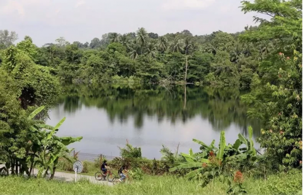 戶外徒步新去處！新加坡新開的7個公園你都遛過了沒？