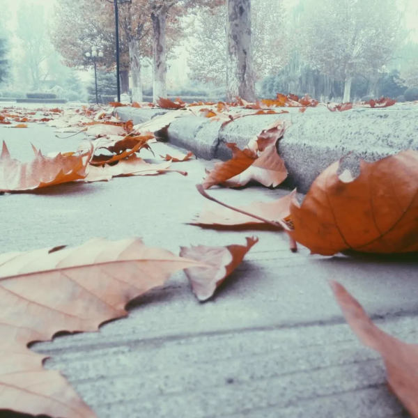 糖水達人@碳酸先森 | 離開自以為是的生活，找尋生命的饋贈