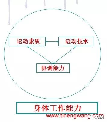 優秀運動員力量訓練新理念及實踐