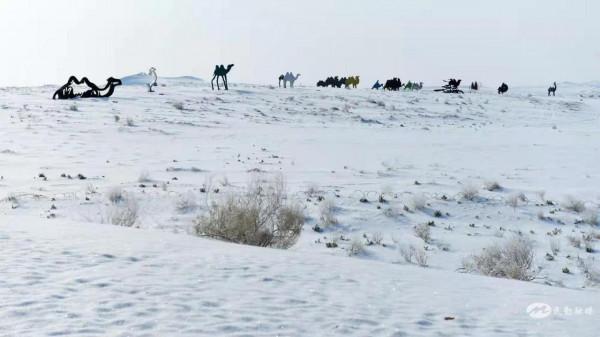 【北國風光&CenterDot;美麗民勤】雪落騰格里