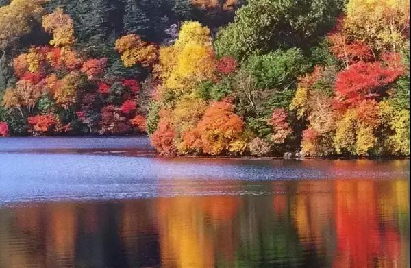 疫情過後一定要去打卡的11個網紅景點,人少景美,你準備好了嗎? 疫情過後一定要去打卡的11個網紅景點,人少景美,你準備好了嗎?