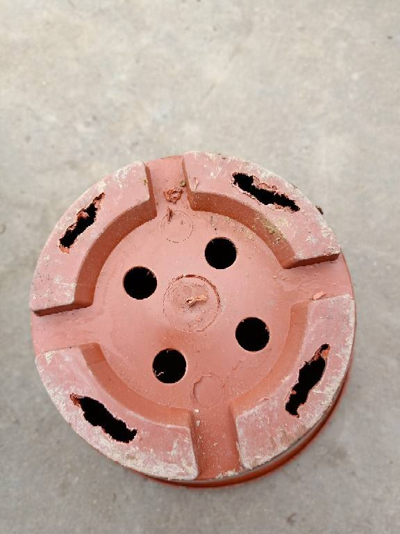 養花總是爛根，澆水千萬管住手，現在越幹才越“安全”